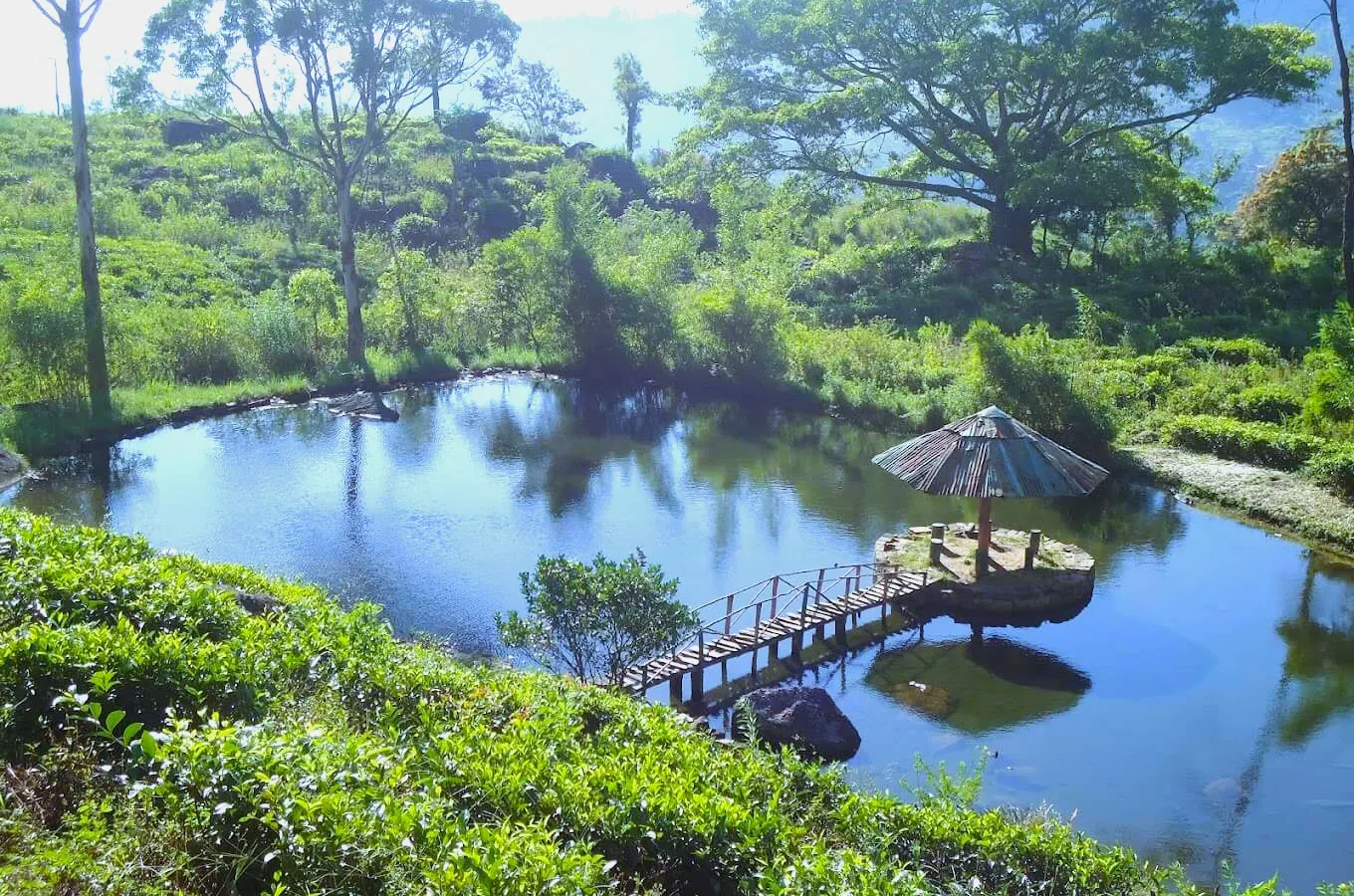 Loolkandura Tea Estate near White House Galaha