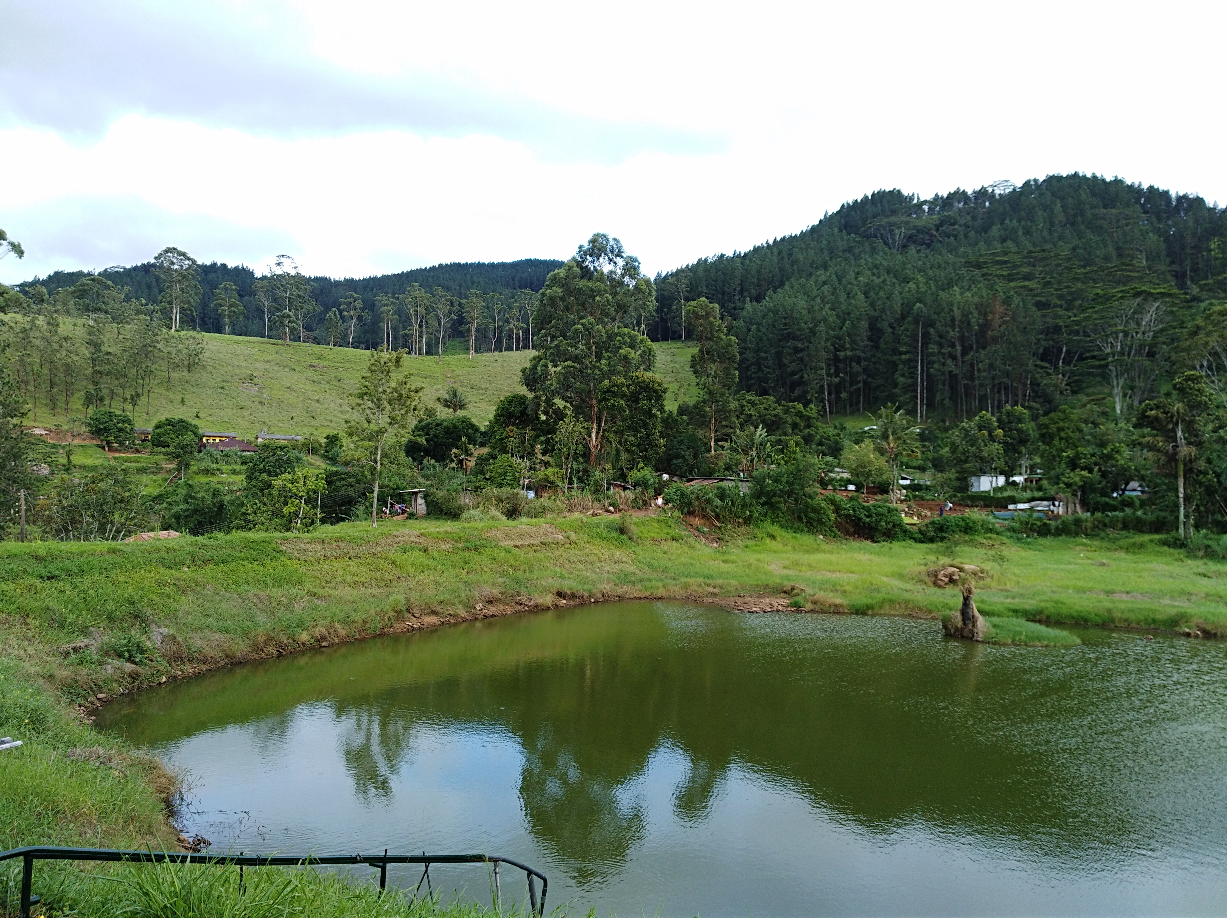 Belwood Forest & View Point, a Central Highlands attraction near Galaha